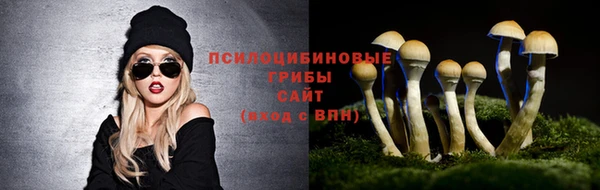 экстази Богородицк