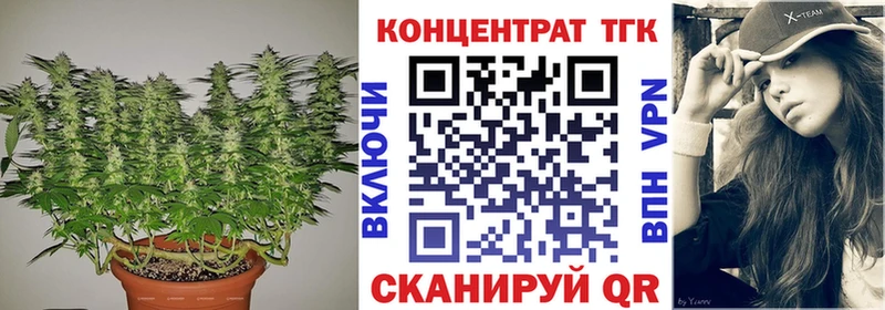 где можно купить   Ленинградская  Дистиллят ТГК THC oil 