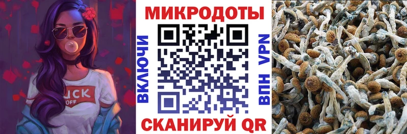 MEGA зеркало  Ленинградская  Псилоцибиновые грибы Cubensis  цена  
